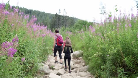 An-Einem-Sonnigen-Tag-Spazieren-Die-Menschen-Auf-Dem-Malerischen-Wanderweg-Durch-Die-Natur.