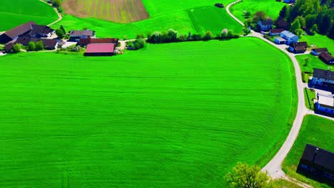 Lebendige-Luftaufnahme-Einer-üppig-Grünen-Ländlichen-Dorflandschaft