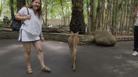 a-woman-gently-strokes-a-deer-at-a-Balinese-zoo