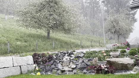 Hagelschauer-Im-Garten-Tagsüber