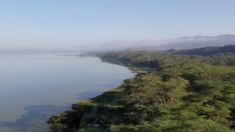 Drone-shot-of-lake-shoreline-with-green-acacia-trees-Lake-elementaita-Kenya