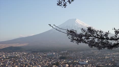 Berg-Fuji-Im-Frühling,-Kirschblüte-Sakura,-Japan