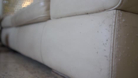 A-leather-sofa-ruined-by-cat-scratches,-damaged-area