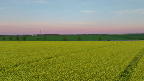 Vista-Aérea-Del-Campo-De-Colza-Bajo-Un-Cielo-Rosa-Y-Azul