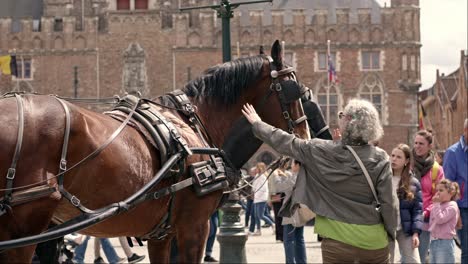 Turistas-Acariciando-Caballos-En-La-Plaza-Del-Mercado-De-Brujas,-Bélgica