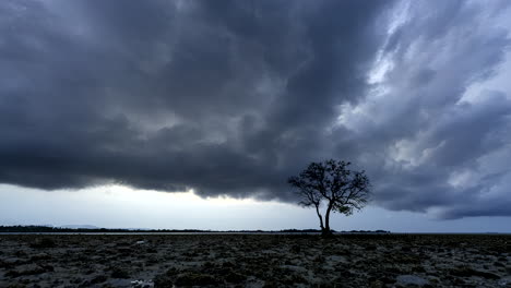 Darkness-of-night,-cloud-atmosphere-movement-time-lapse,-isolated-tree