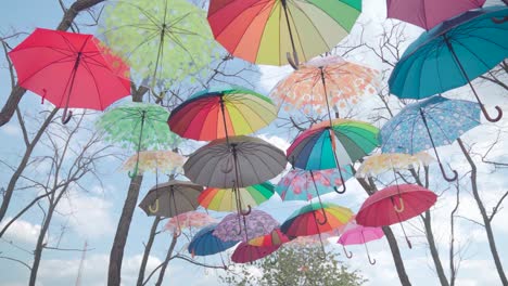 Colorful-umbrellas-hanging-from-trees-outdoor-decoration,-look-up
