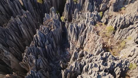 Luftaufnahme-Einer-Drohne-Mit-Wunderschönem-Blick-Auf-Die-Große-Tsingy-De-Bemaraha---Steinformationen-Und-Den-Riesigen-Nationalpark-In-Madagaskar