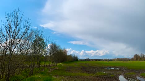 Countryside-landscape-with-bare-tree,-cloudy-sky-and-green-meadow,-Latvia