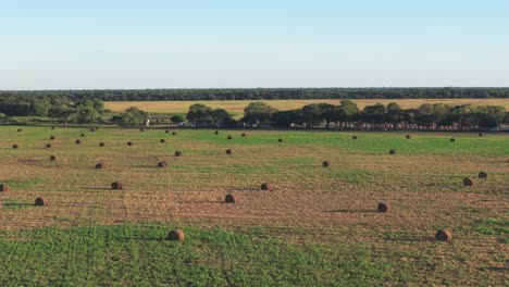 Vista-Lateral-Aérea-De-Un-Campo-Lleno-De-Fardos-Redondos-De-Heno-En-Santiago-Del-Estero,-Argentina