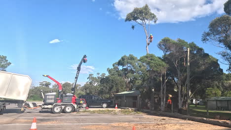 Operadores-De-Remoción-De-árboles-Recortando-Ramas-En-Un-árbol-Grande.