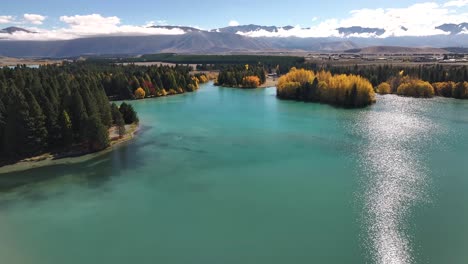 Trees-in-Lake-Ruataniwha-and-mountain-surroundings,-natural-landscape,-Autumn-season-in-New-Zealand