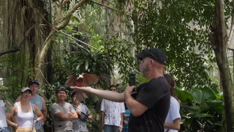 En-El-Parque-De-Aves-De-Bali,-Un-Hombre-Extiende-Su-Mano-Con-Golosinas-Mientras-Un-Ave-Del-Paraíso-Se-Abalanza-Para-Comer-De-Su-Palma.