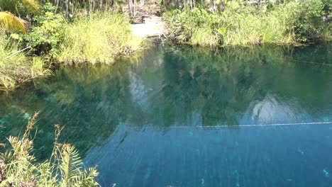 Wunderschöner-Natürlicher-Pool-Mit-Kristallklarem-Wasser-In-Der-Cenote-Cristal-In-Tulum,-Mexiko