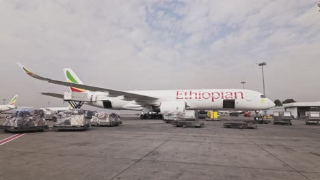 Flugzeug-Der-Ethiopian-Airlines-Verlädt-Koffer-Am-Internationalen-Flughafen-Bole