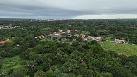 Verdant-Vistas:-Capturing-the-Green-Tapestry-Below