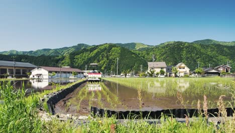 Agricultor-De-Arroz-Plantando-Arroz-En-El-Campo-En-Las-Montañas-De-Japón