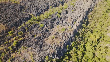 Amplia-Vista-Aérea-Del-Gran-Tsingy-De-Bemaraha---Formación-De-Piedra-Y-Parque-Nacional-En-Madagascar