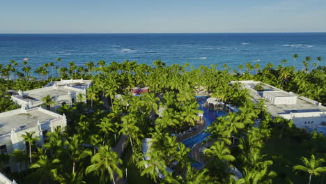 Dense-Palm-Trees-At-Riu-Palace-Bavaro-In-Punta-Cana,-Dominican-Republic