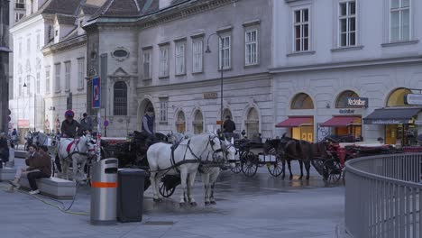 Fiaker,-Carruaje-De-Cuatro-Ruedas-Tirado-Por-Caballos-En-Alquiler