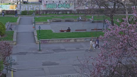 Tranquilo-Parque-De-Viena-Adornado-Con-Flores-De-Cerezo.-Austria