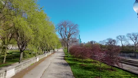 Imágenes-Aéreas-De-Drones-De-Una-Tranquila-Pasarela-Que-Serpentea-A-Través-De-Un-Exuberante-Parque-Verde-En-Chicago,-Flanqueada-Por-árboles-Y-Postes-De-Luz.