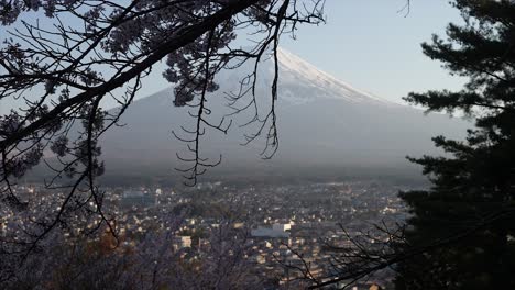 Montaña-Fuji-En-Primavera,-Flor-De-Cerezo-Sakura,-Montaña-Japonesa
