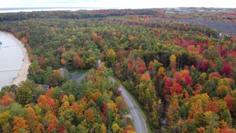 Aerial-shot-of-autumn-forest-by-the-ocean