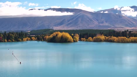 Beautiful-scenic-view-of-colourful-trees-on-Lake-Ruataniwha-shore