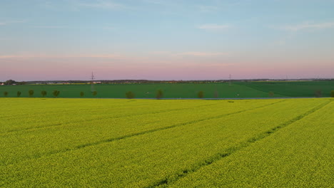 Vista-Aérea-Del-Campo-De-Colza-Y-Coches-Distantes-En-Una-Carretera.