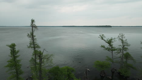 Tranquil-view-of-Reelfoot-Lake-with-scattered-trees-and-calm-waters-at-dusk,-peaceful-landscape