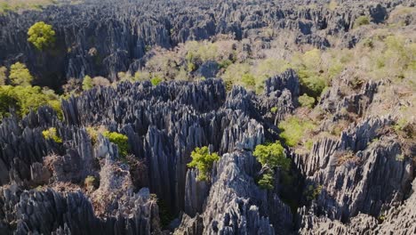 Vuela-Sobre-Big-Tsingy-De-Bemaraha---Formación-De-Piedra-Y-Parque-Nacional-En-Madagascar