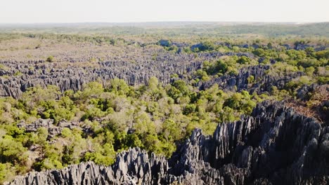 Gran-&quot;tsingy-De-Bemaraha&quot;---Formación-Rocosa-Puntiaguda-Y-Parque-Nacional-N.º