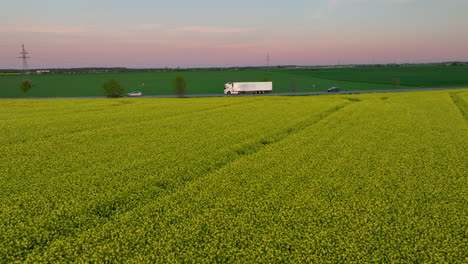 Luftaufnahme-Eines-Rapsfeldes-Mit-Einem-LKW-Auf-Der-Straße-Bei-Sonnenuntergang