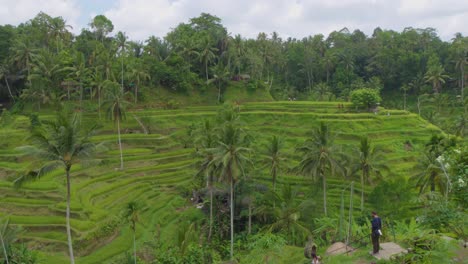 Las-Exuberantes-Terrazas-De-Arroz-De-Tegallalang-En-Bali,-Indonesia