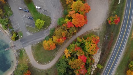 Aerial-shot-of-trees-during-autumn