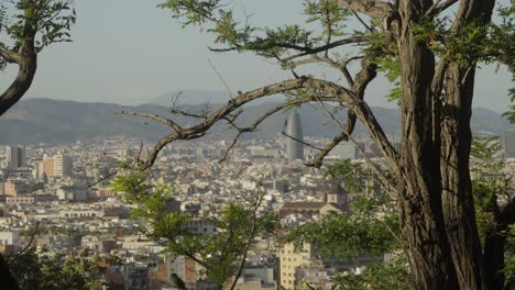 Scenic-cityscape-view-of-Barcelona-on-top-of-the-Mirador-torre-Glòries