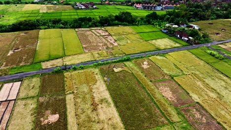 Lokale-Landarbeiter,-Die-Das-Land-Bearbeiten,-Indonesische-Industrie-Und-Wirtschaft