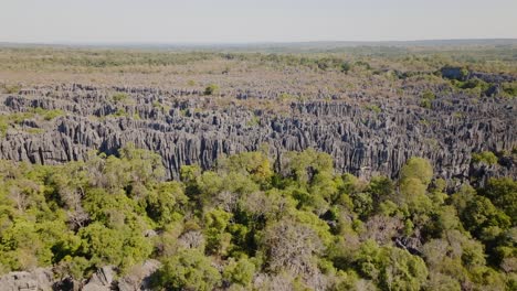 Wide-aerial-drone-shot-of-big-Tsingy-de-Bemaraha---spiky-stone-formation-and-national-park-in-Madagascar