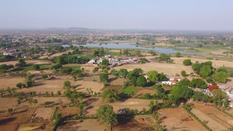 Luftaufnahme-Einer-Drohne-Von-Abgeernteten-Weizenfeldern-Und-Einem-Fluss-Im-Sommer-In-Einem-Ländlichen-Dorf-In-Orchha,-Madhya-Pradesh,-Indien