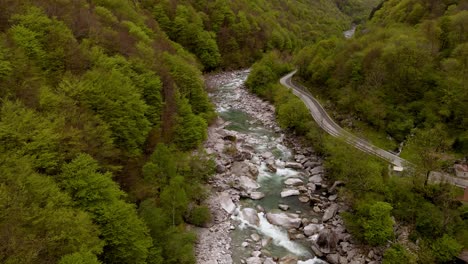 Vibrantes-árboles-Primaverales-Bordean-El-Valle-Del-Río-Verzasca,-Suiza