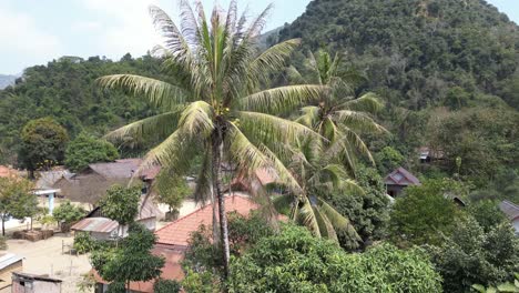 drone-shot-of-palm-trees-above-small-village-in-the-mountain-town-of-Nong-Khiaw-in-Laos,-Southeast-Asia