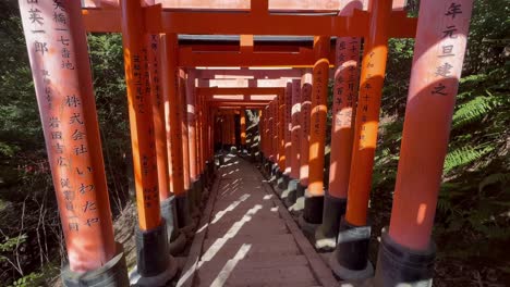 Baja-A-Través-De-Las-Puertas-De-Fushimi-Inari-Taisha-En-Kyoto,-Japón