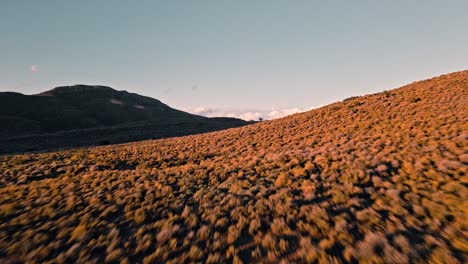 Niedrige-Drohnenaufnahme-Der-Klein-Karoo-Vegetation-Mit-Niedrigen-Sträuchern-Und-Büschen-Bei-Sonnenuntergang