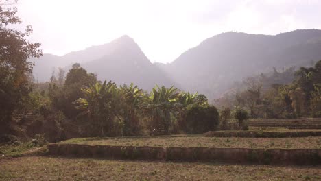 Terrazas-De-Arroz-Y-Campos-Con-Telón-De-Fondo-Montañoso-En-La-Ciudad-Montañosa-De-Nong-Khiaw-En-Laos,-Sudeste-Asiático