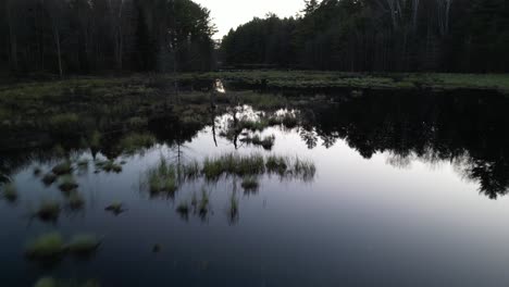 Vista-Aérea-De-Una-Presa-De-Castores-En-Un-Río-Forestal-Al-Atardecer,-Rodeada-De-Densos-árboles-Y-Agua-Reflejada