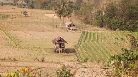 looking-down-on-bright-green-rice-terraced-fields-in-the-mountain-town-of-Nong-Khiaw-in-Laos,-Southeast-Asia