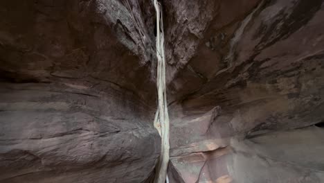 Toma-Panorámica-De-Las-Raíces-De-Un-árbol-Que-Crece-Entre-Cuevas-Rocosas-En-Bhimbetka-En-Bhopal,-Madhya-Pradesh,-India.