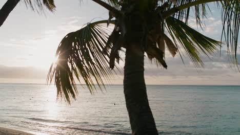 A-serene-beach-scene-with-a-palm-tree-gently-swaying-in-the-breeze-as-the-sun-sets-over-the-calm-ocean