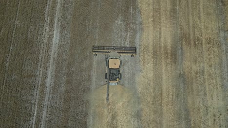 Tractor-harvesting-grain.-Aerial-top-down-forward
